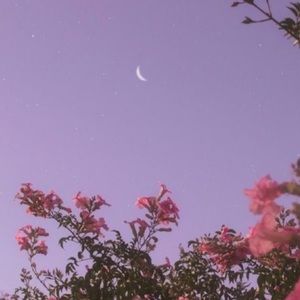 Meet your Posher, Kala